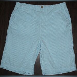 Crown & Ivy Sky Blue Striped Shorts